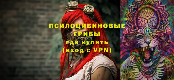 spice Белокуриха