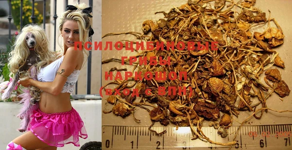 spice Белокуриха