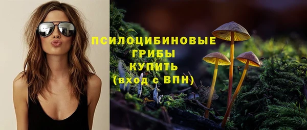 Альфа ПВП Беломорск